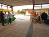 _MG_6560B